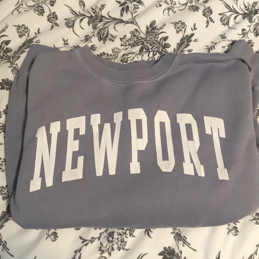Brandy Melville Gray Newport Sweatshirt
